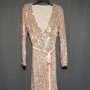 Sequin Dress